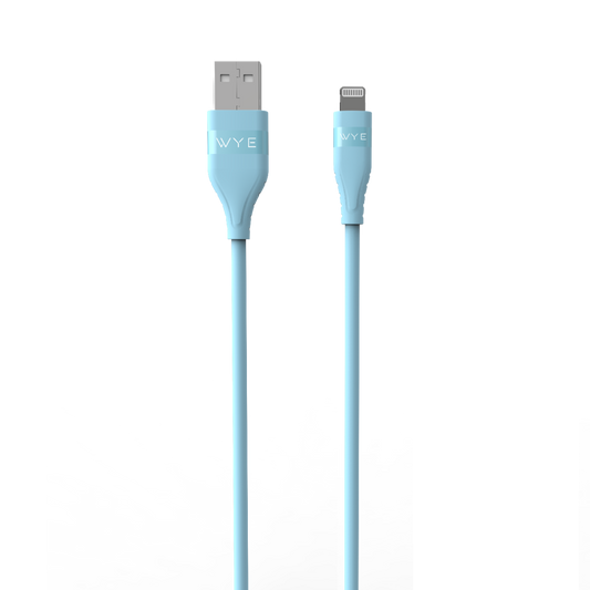 WYE DC48 USB-A to 8-Pin 12W Cable